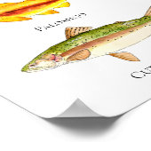 マスの水彩画のポスター&プリント ポスター (角)