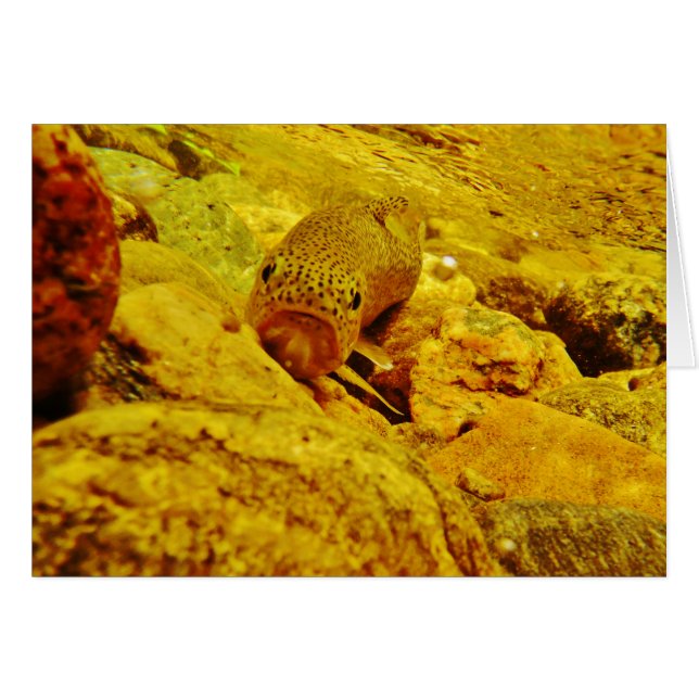 マスの流れ (正面横)