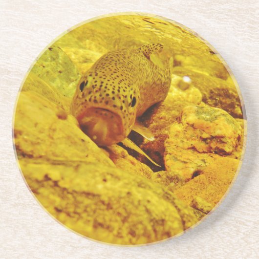 マスの流れ コースター (正面)