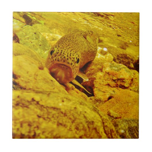 マスの流れ タイル (正面)