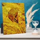 マスの流れ フォトプラーク (側面)