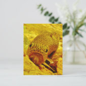 マスの流れ ポストカード (スタンド正面)