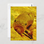 マスの流れ ポストカード (正面/裏面)