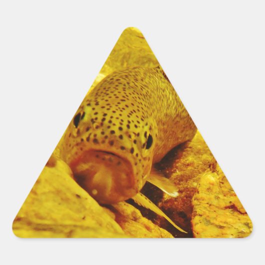 マスの流れ 三角形シール (正面)