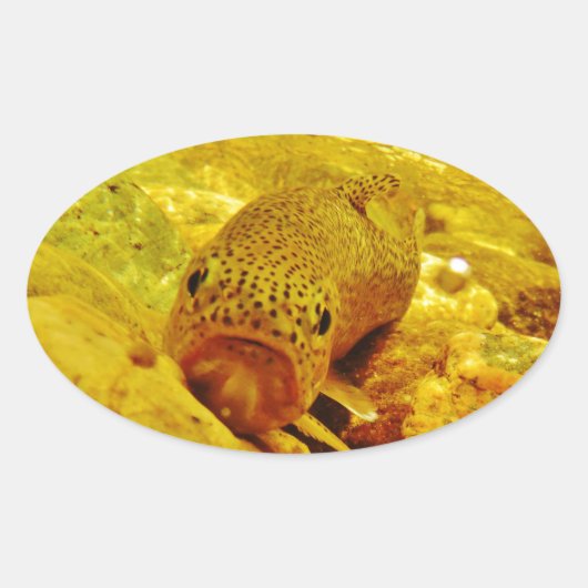 マスの流れ 楕円形シール (正面)