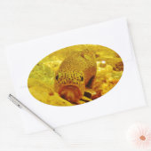 マスの流れ 楕円形シール (封筒)