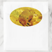 マスの流れ 楕円形シール (バッグ)