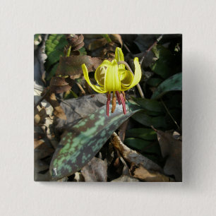 マスゆり野花 – Erythronium americanum 缶バッジ