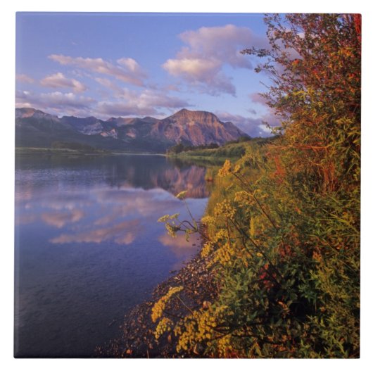 マスキノンゲレイクインウォータートンレイクナショナルパーク2 タイル (正面)