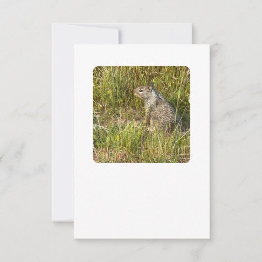 マスクと置き換える 招待状 (正面)