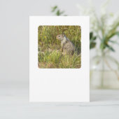 マスクと置き換える 招待状 (スタンド正面)