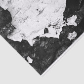 マスクの削除 薄葉紙 (詳細)