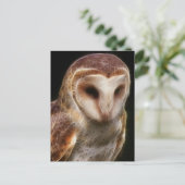 マスクドオウルフラクタル ポストカード (スタンド正面)