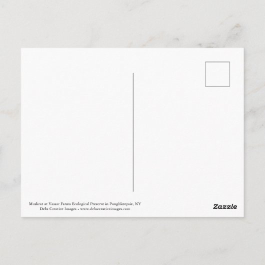 マスクラットアットヴァッサールファームズエコロジカル保存 ポストカード (裏面)