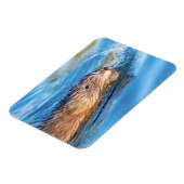 マスクラットアットヴァッサールファームズエコロジカル保存 マグネット (左側)