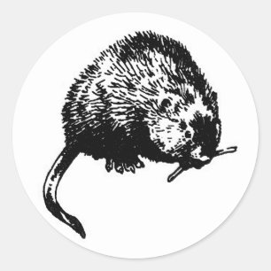 マスクラット(イラストレーション) ラウンドシール