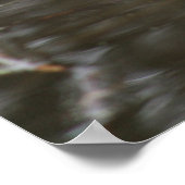 マスクラット ポスター (角)