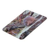 マスクラット マグネット (左側)