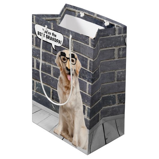 マスク付きゴールデンおもしろいレトリバー誕生日 ミディアムペーパーバッグ (裏面アングル)