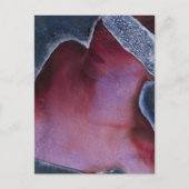 マスク2009 ポストカード (正面)