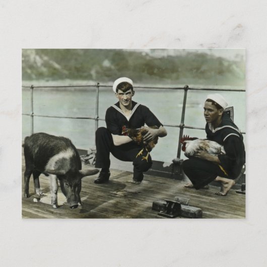 マスコッツヴィンテージWWIIセーラーオスターピグ ポストカード (正面)