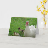 マスコビー·メンドリとアヒル カード (黄色い花)