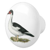 マスコヴィの黒いアヒル セラミックノブ (右)