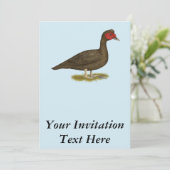 マスコヴィ・ドレイク・チョコレート 招待状 (スタンド正面)