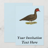 マスコヴィ・ドレイク・チョコレート 招待状 (正面/裏面)