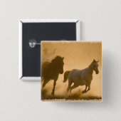 マスタングのまとめ 缶バッジ (正面&裏面)