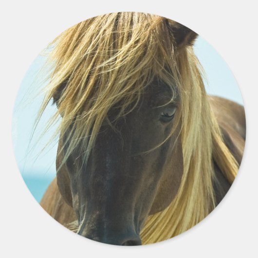 マスタングのシール ラウンドシール (正面)