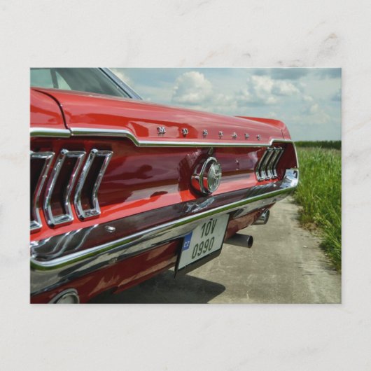 マスタングはがき ポストカード (正面)