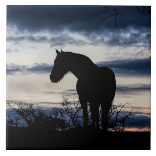 マスタングアンドストームファインアート タイル (正面)