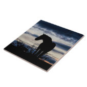 マスタングアンドストームファインアート タイル (側面)