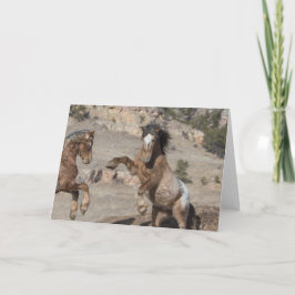 マスタングスパーリング:自由に駆け寄る挨拶 カード