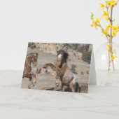 マスタングスパーリング:自由に駆け寄る挨拶 カード (黄色い花)