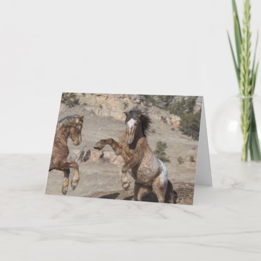 マスタングスパーリング:自由に駆け寄る挨拶 カード (正面)