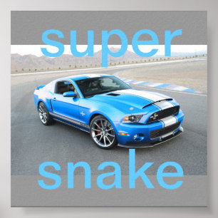 マスタングポスター ポスター