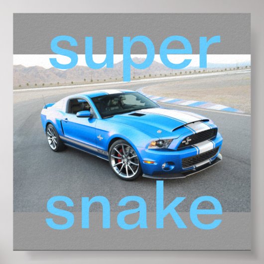 マスタングポスター ポスター (正面)