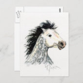 マスタング馬はがき ポストカード (正面/裏面)