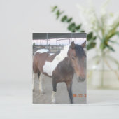 マスタンスピリットはがき ポストカード (スタンド正面)