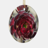 マスターガーデナーデザートランドスキャパー写真赤い植物 セラミックオーナメント (右)
