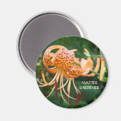 マスターガーデナーマグネットオレンジタイガーライズマグネット マグネット (正面/裏面)