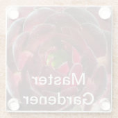 マスターガーデナー沿岸植物の写真赤い多肉質 ガラスコースター (裏面)