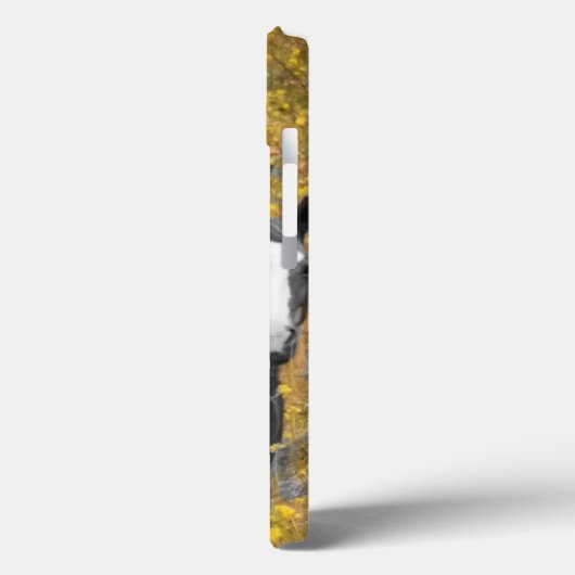 マスタードと馬 Case-Mate iPhoneケース (裏面 / 左)