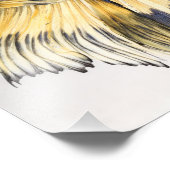 マスタードガスハーフムーンベッタ フォトプリント            (角)