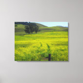 マスタードシードのフィールド – キャンバスプリント (正面)