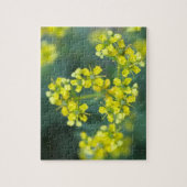 マスタードフラワー ジグソーパズル 20x25cm 110ピース (縦)