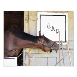 マスタープラン フォトプリント