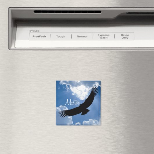 マスターマグネット マグネット (インサイチュ (食洗機))